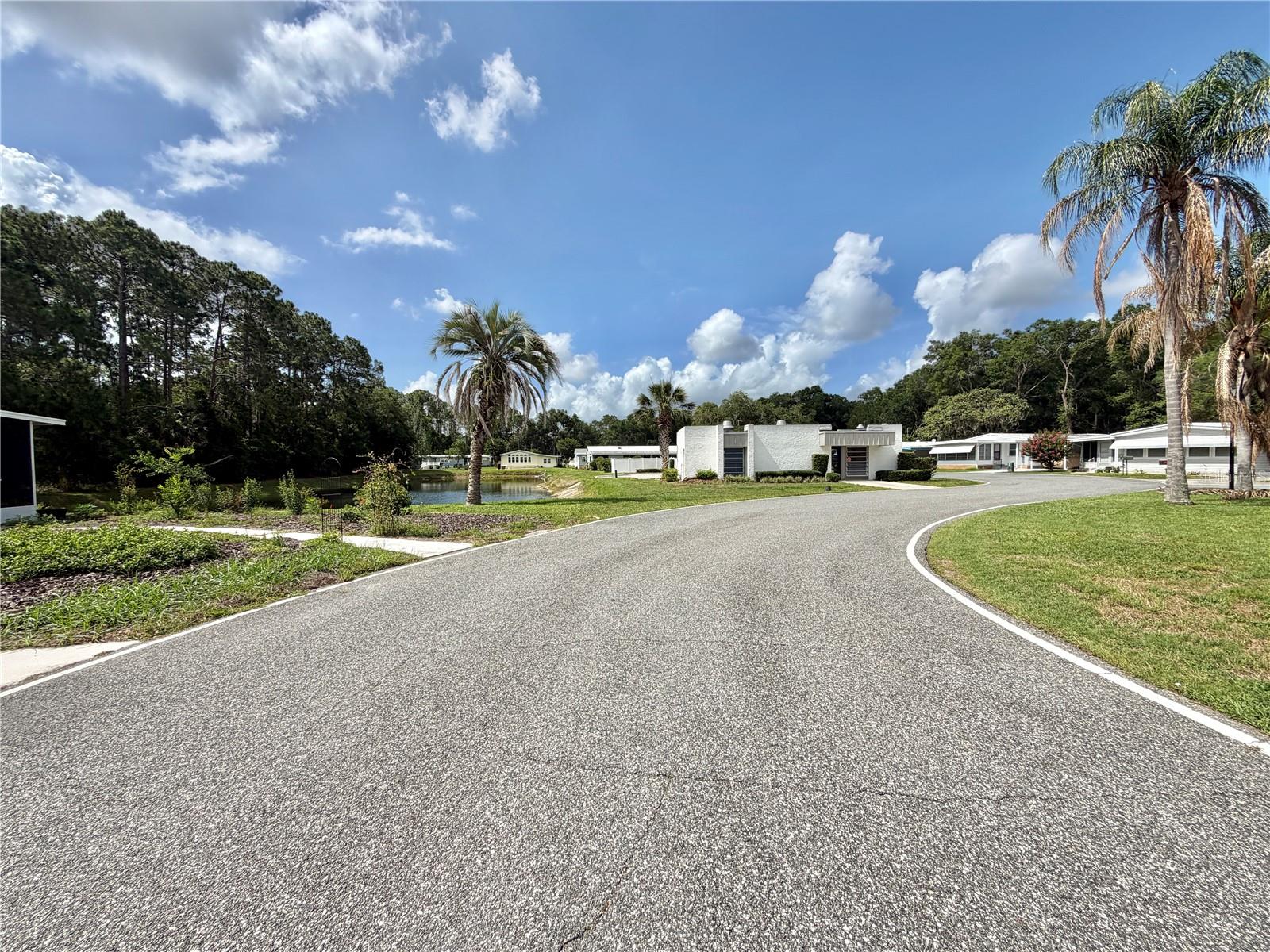 101 TAMARISK WAY, LEESBURG, FL, 34748