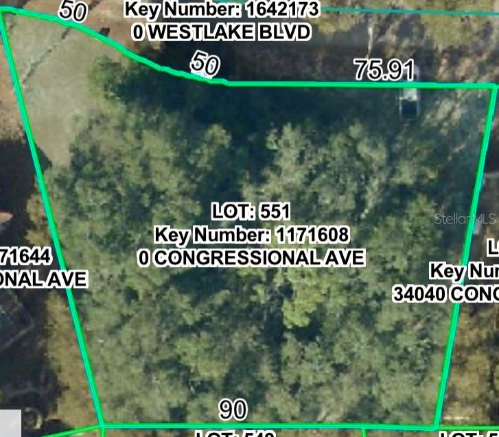 34036 CONGRESSIONAL AVE, DADE CITY, FL, 33523
