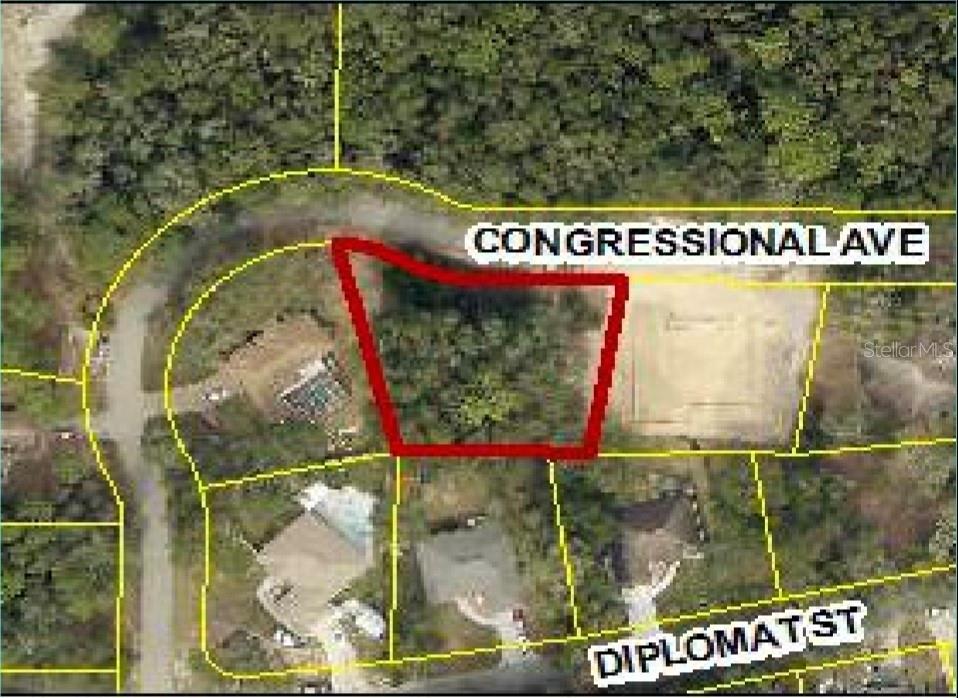 34036 CONGRESSIONAL AVE, DADE CITY, FL, 33523