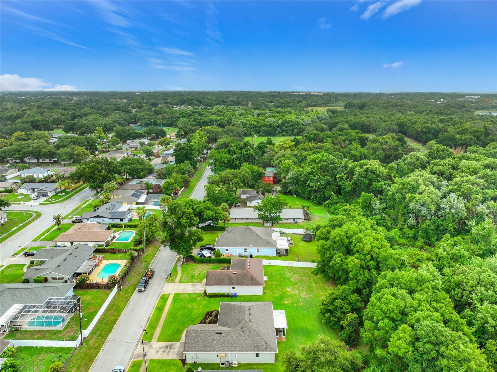 300 E GENEVA ST, OCOEE, FL, 34761