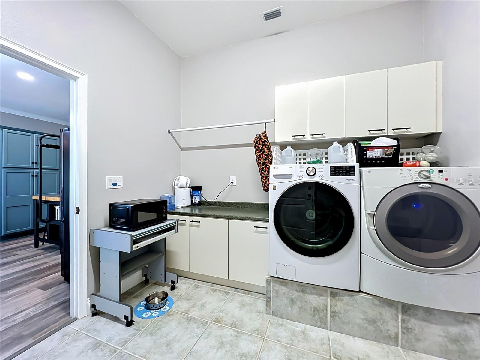 300 E GENEVA ST, OCOEE, FL, 34761