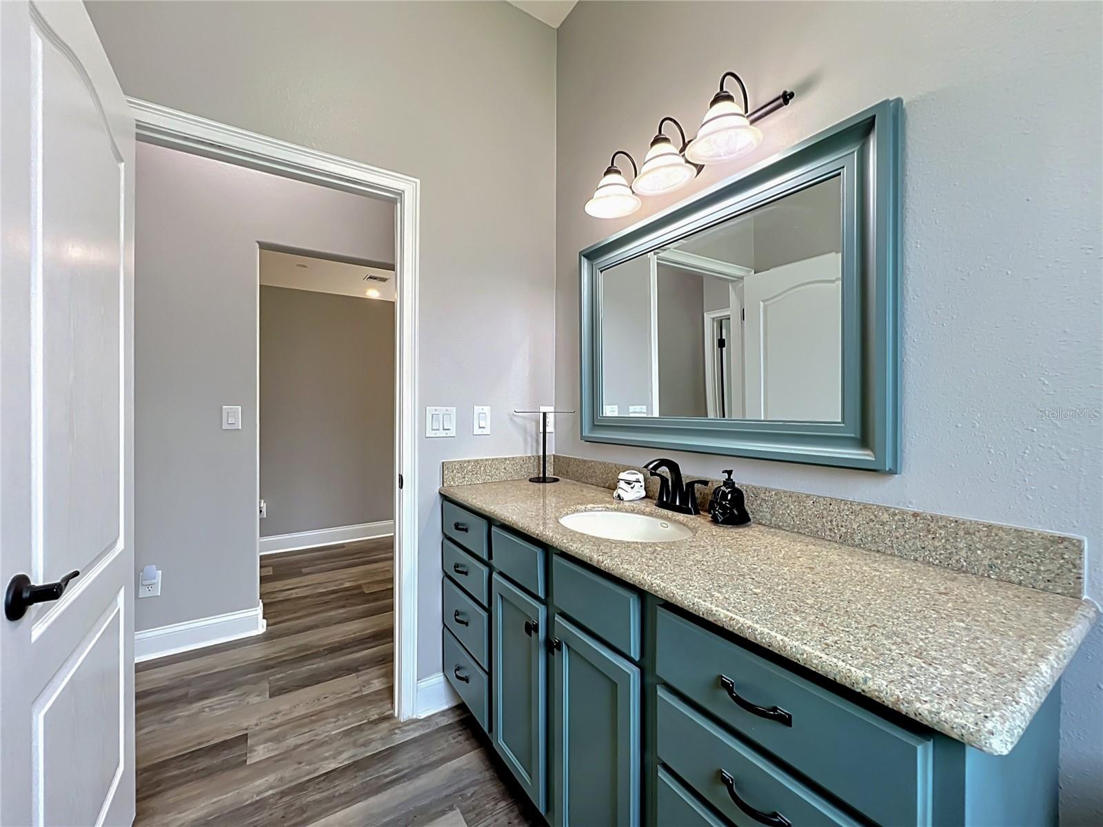 300 E GENEVA ST, OCOEE, FL, 34761