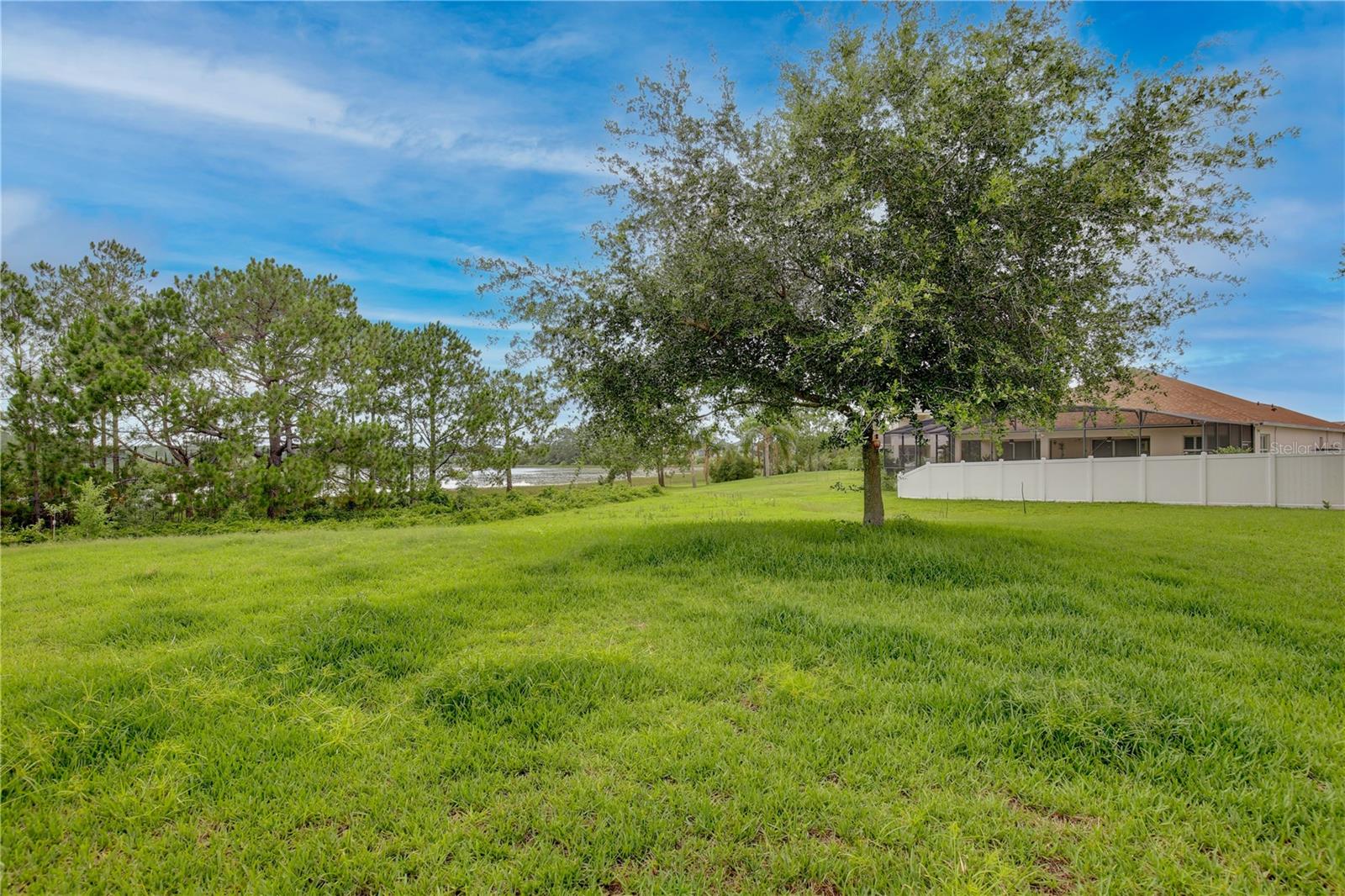 16005 CHAMPLAIN ST, CLERMONT, FL, 34714