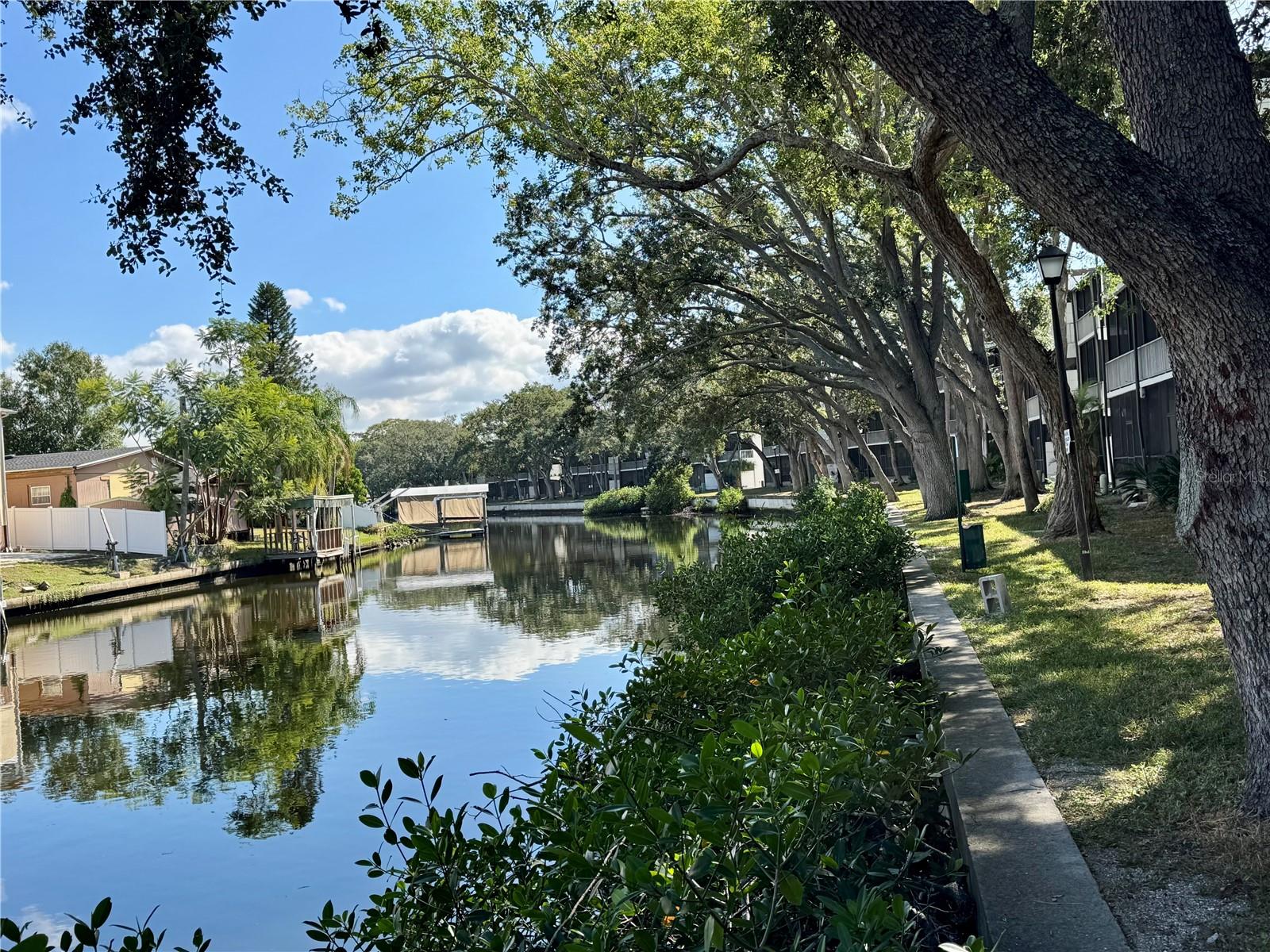 9205 TUDOR DR #C208, TAMPA, FL, 33615