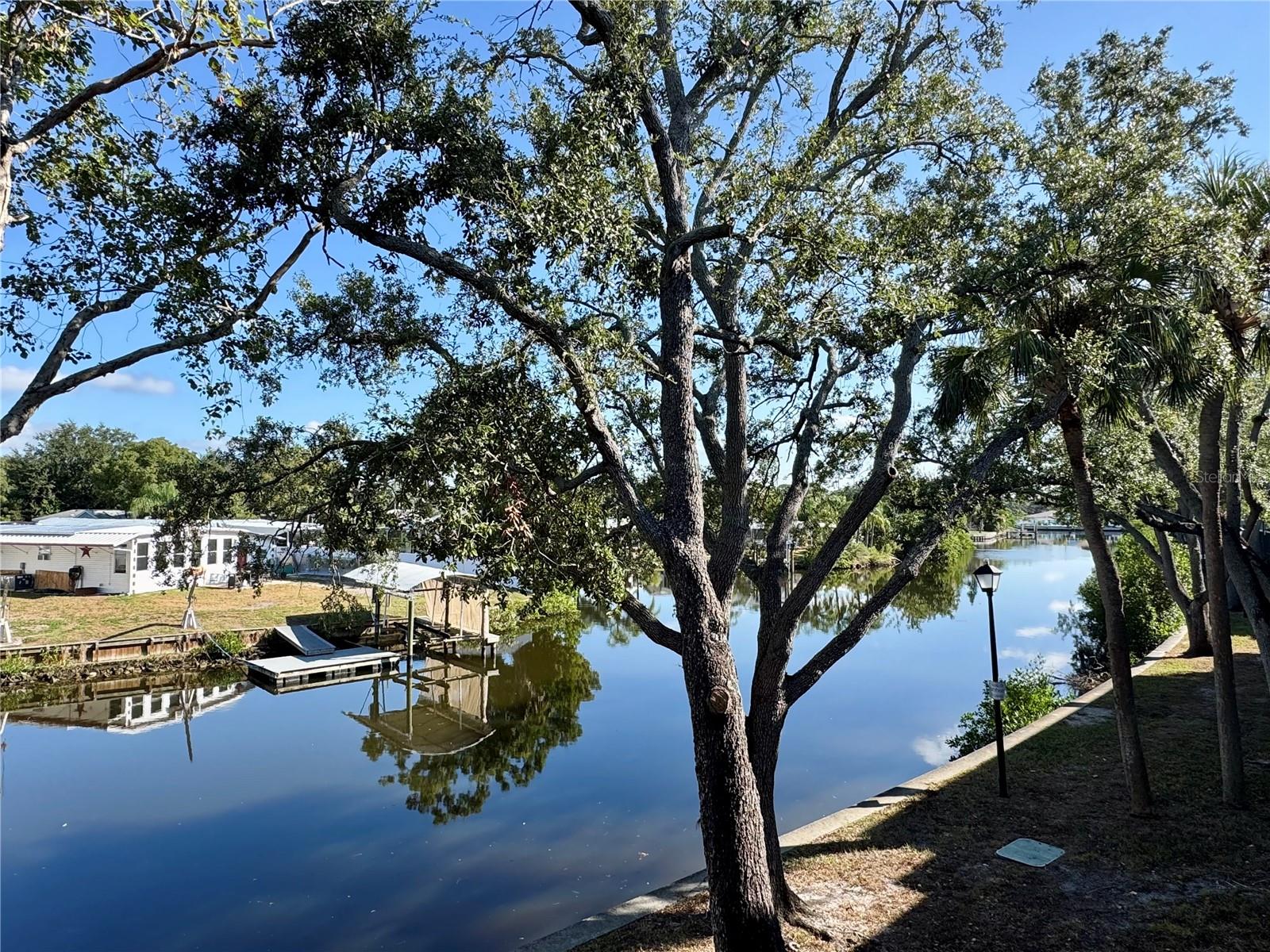 9205 TUDOR DR #C208, TAMPA, FL, 33615