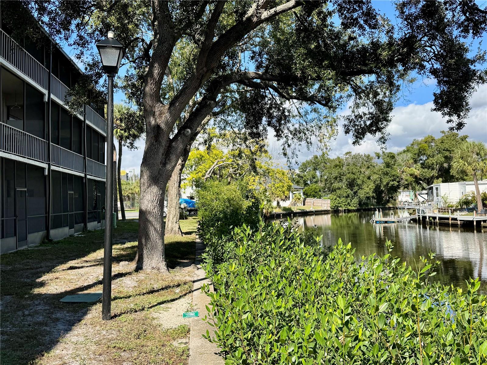 9205 TUDOR DR #C208, TAMPA, FL, 33615
