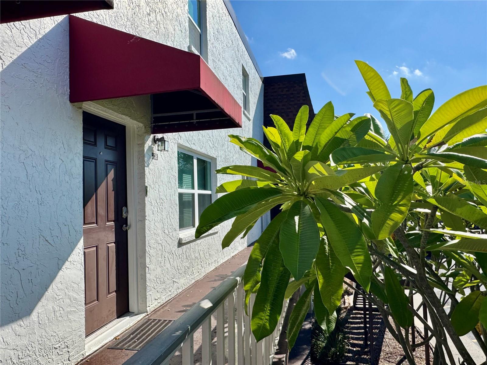 9205 TUDOR DR #C208, TAMPA, FL, 33615