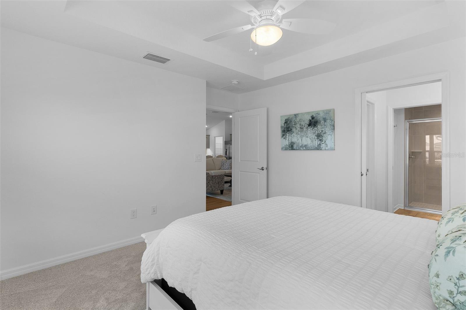 1714 MCMURTRIE LOOP, THE VILLAGES, FL, 34762