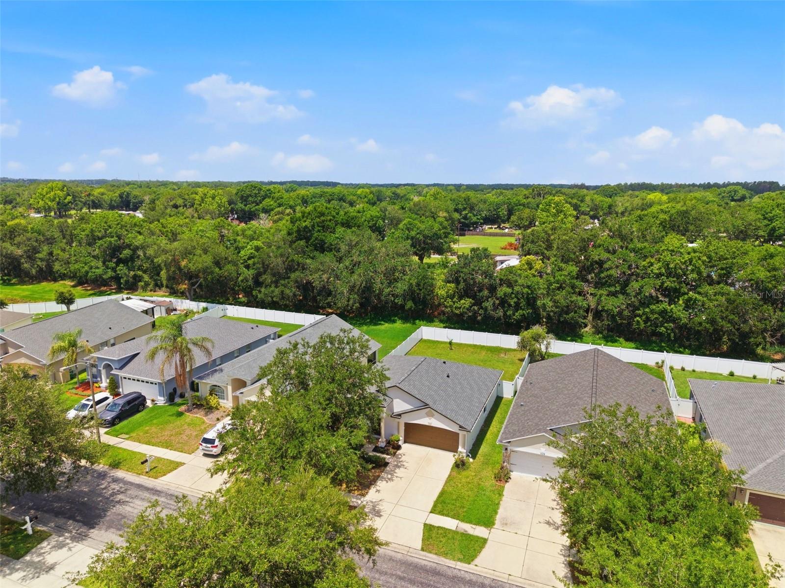 7315 NEWHALL PASS LN, WESLEY CHAPEL, FL, 33545