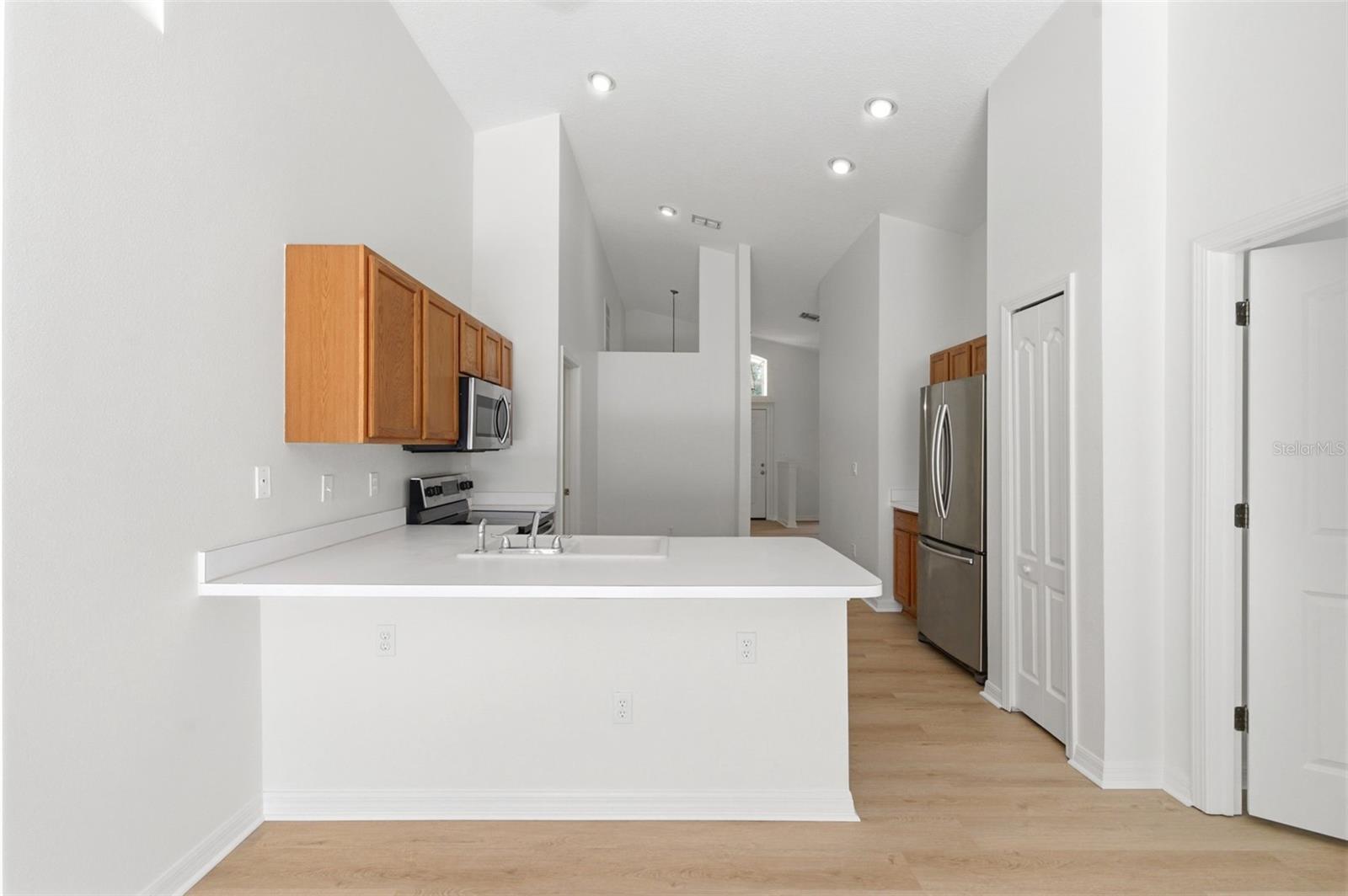 7315 NEWHALL PASS LN, WESLEY CHAPEL, FL, 33545