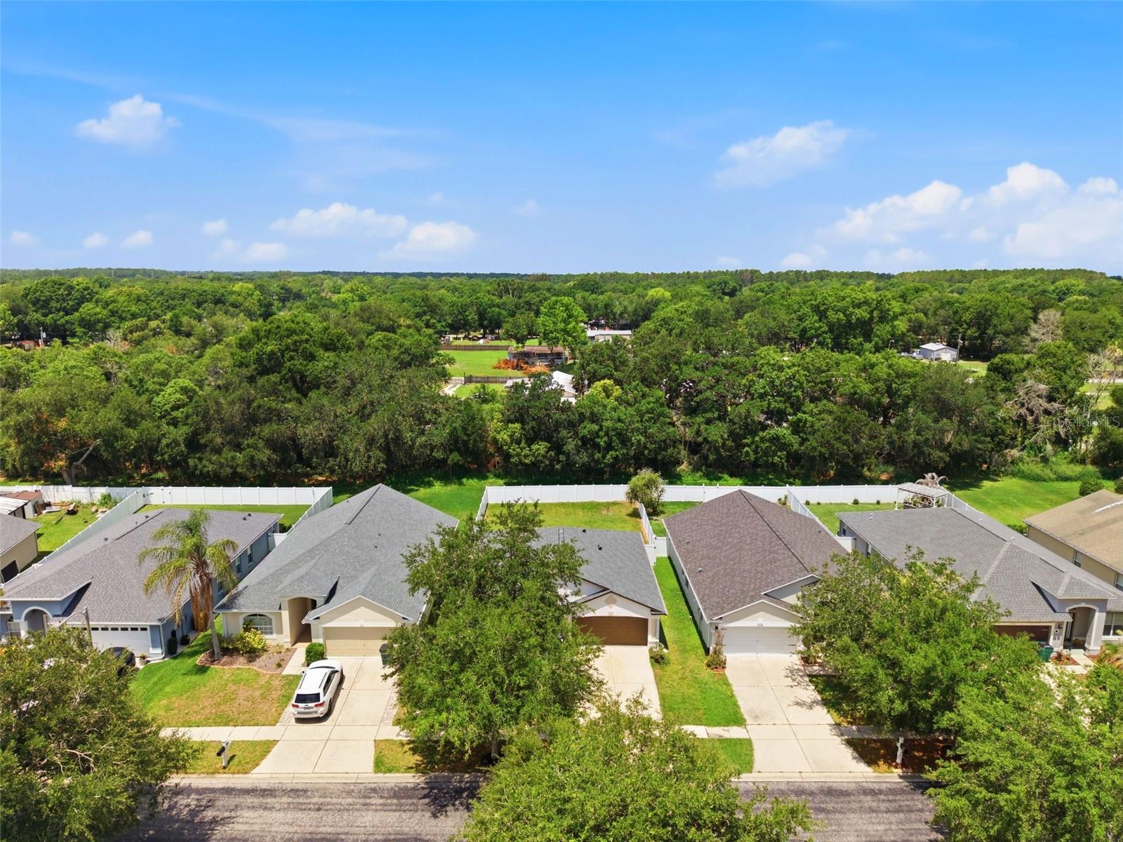 7315 NEWHALL PASS LN, WESLEY CHAPEL, FL, 33545