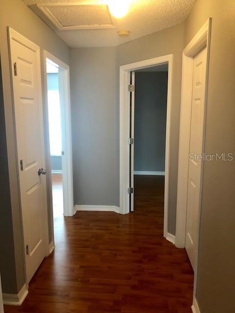 1851 FALLING STAR LN, LUTZ, FL, 33549