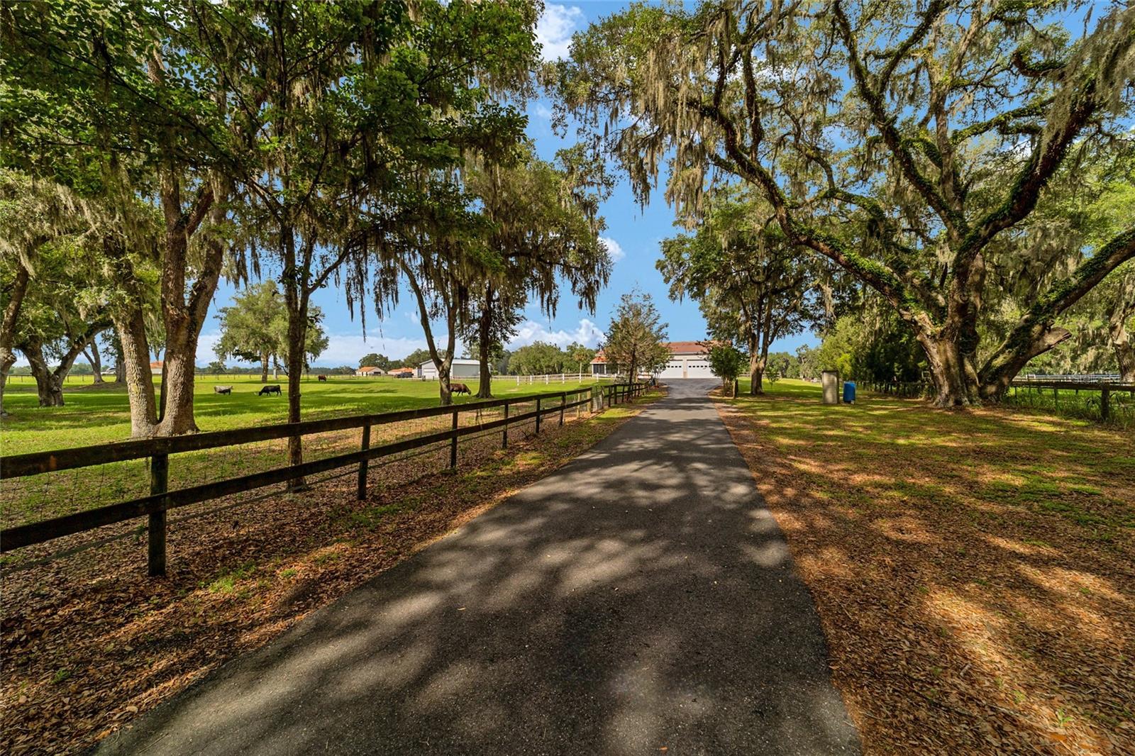 2035 NW 150TH AVE, OCALA, FL, 34482