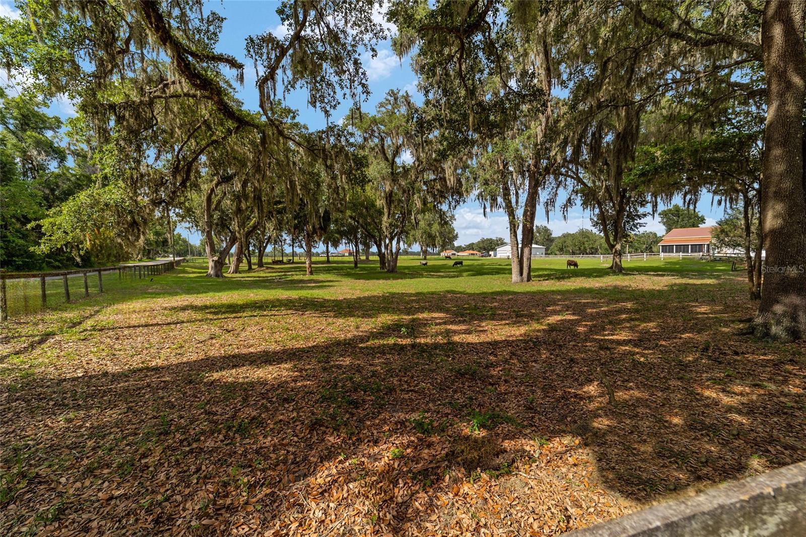 2035 NW 150TH AVE, OCALA, FL, 34482