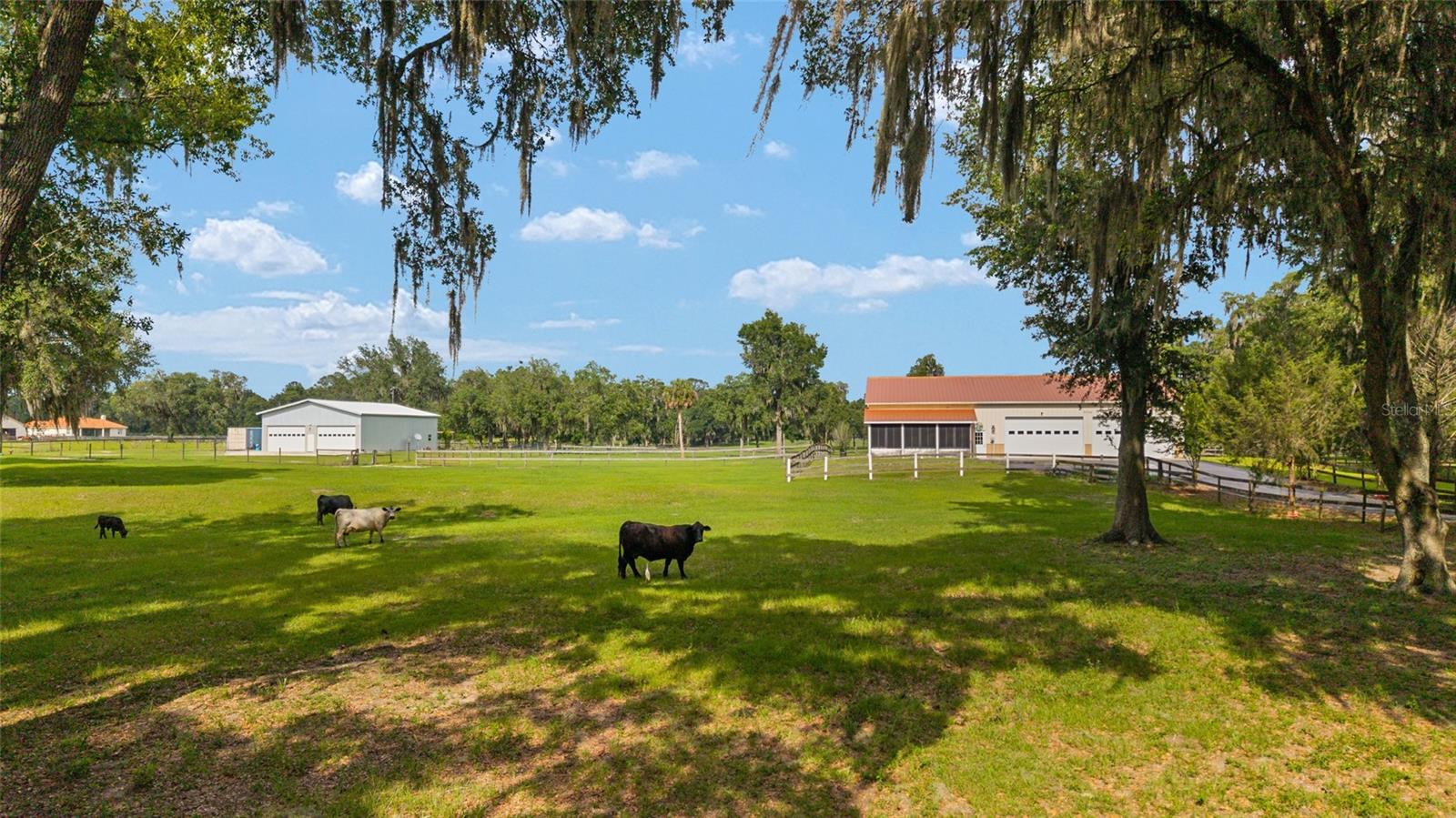 2035 NW 150TH AVE, OCALA, FL, 34482