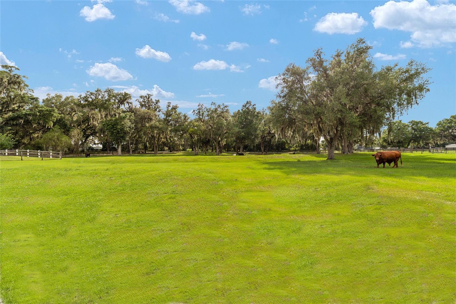 2035 NW 150TH AVE, OCALA, FL, 34482