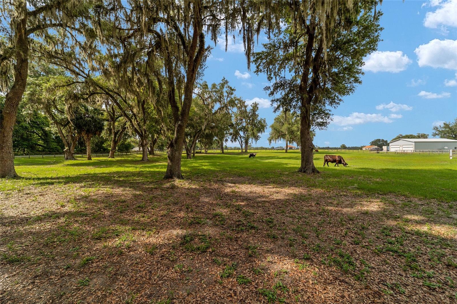 2035 NW 150TH AVE, OCALA, FL, 34482
