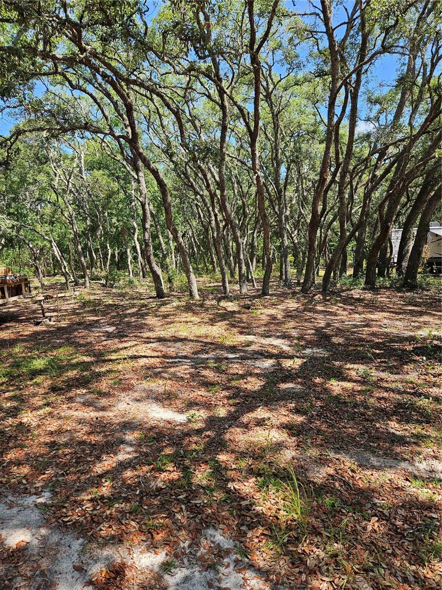 4300 W ROADRUNNER CT, HOMOSASSA, FL, 34446