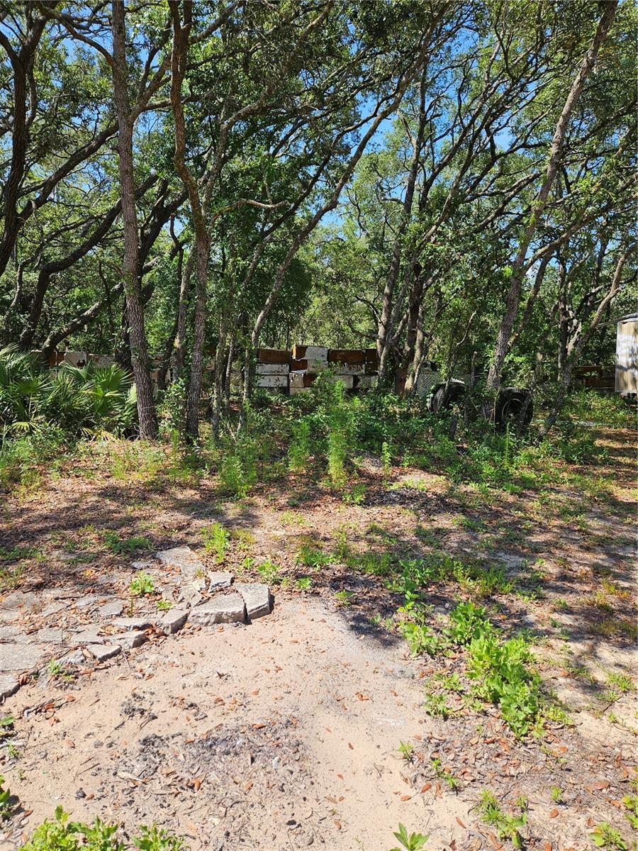 4300 W ROADRUNNER CT, HOMOSASSA, FL, 34446