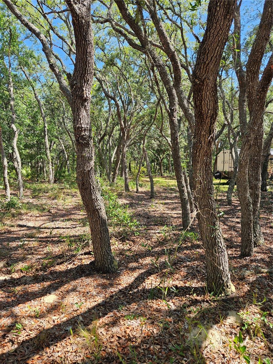 4300 W ROADRUNNER CT, HOMOSASSA, FL, 34446