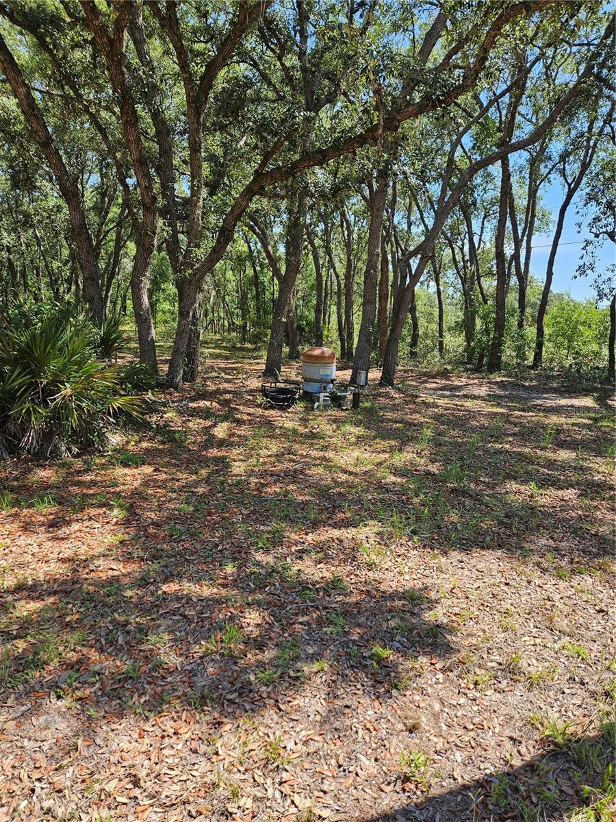 4300 W ROADRUNNER CT, HOMOSASSA, FL, 34446
