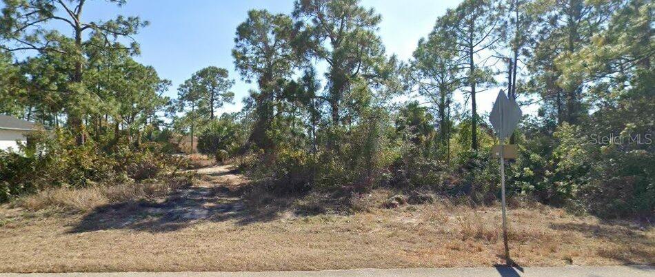 1201/1203 W 12TH ST, LEHIGH ACRES, FL, 33972