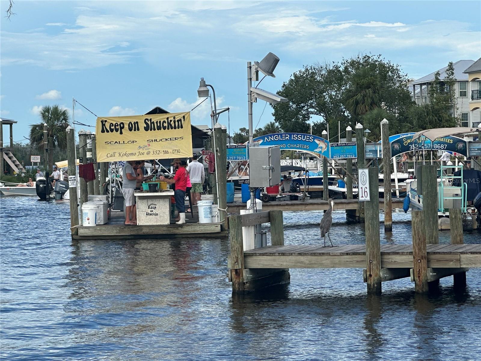 4025 S MISSOURI ST, HOMOSASSA, FL, 34448