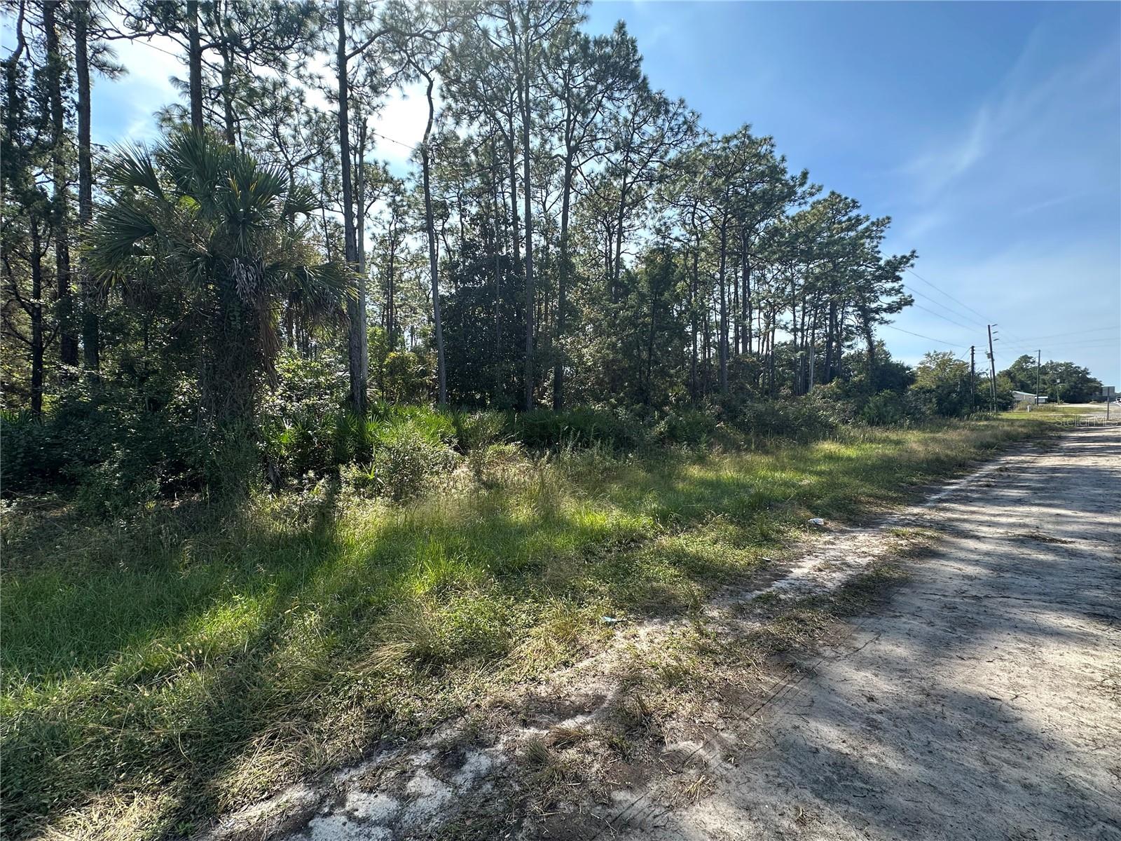 4025 S MISSOURI ST, HOMOSASSA, FL, 34448