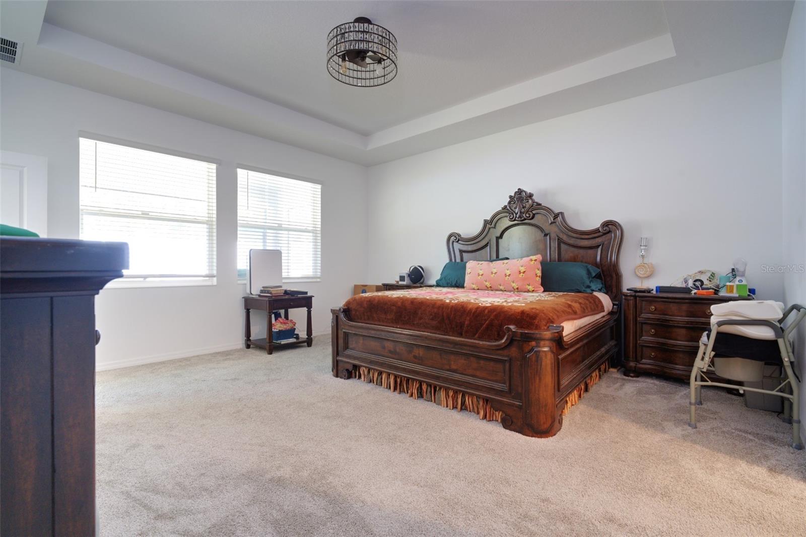 6084 CLAYSTONE WAY, MOUNT DORA, FL, 32757