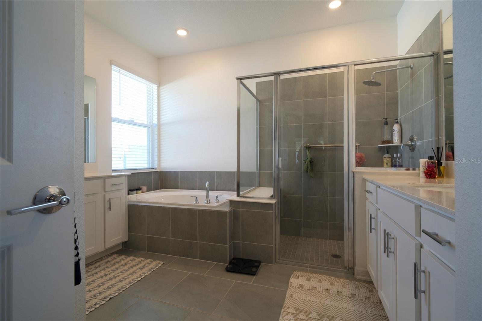 6084 CLAYSTONE WAY, MOUNT DORA, FL, 32757