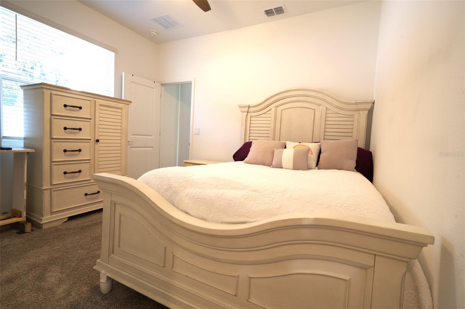 6084 CLAYSTONE WAY, MOUNT DORA, FL, 32757