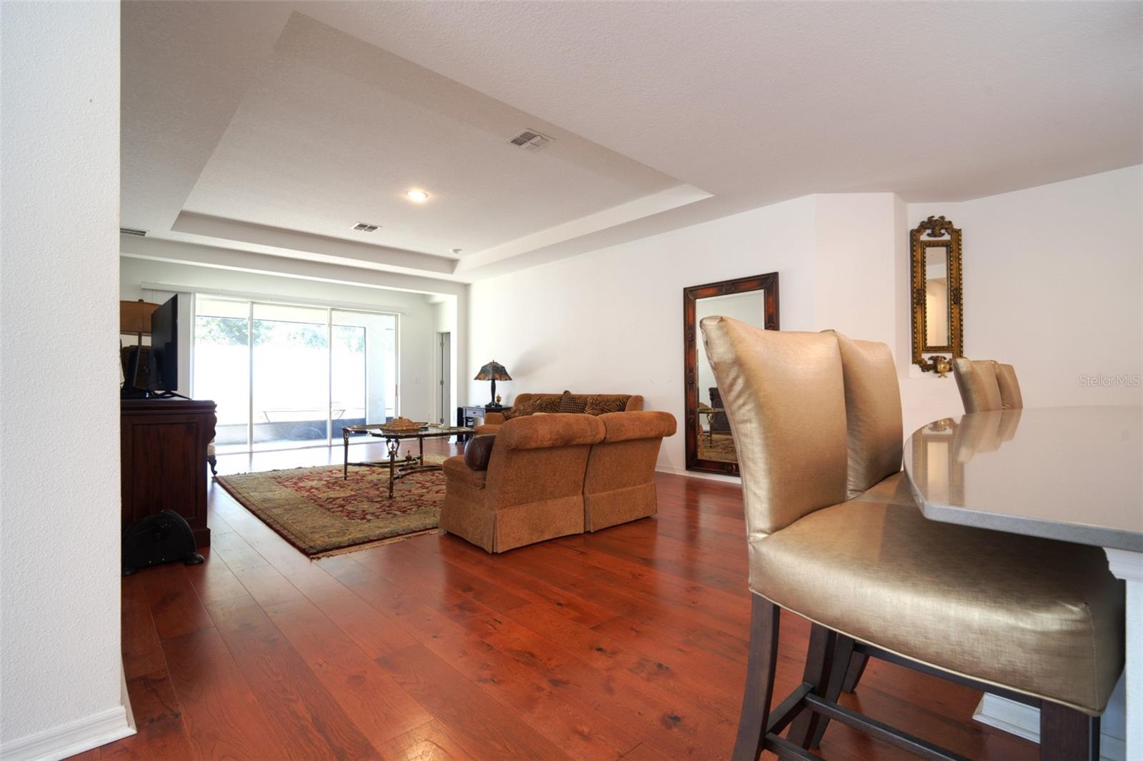 6084 CLAYSTONE WAY, MOUNT DORA, FL, 32757