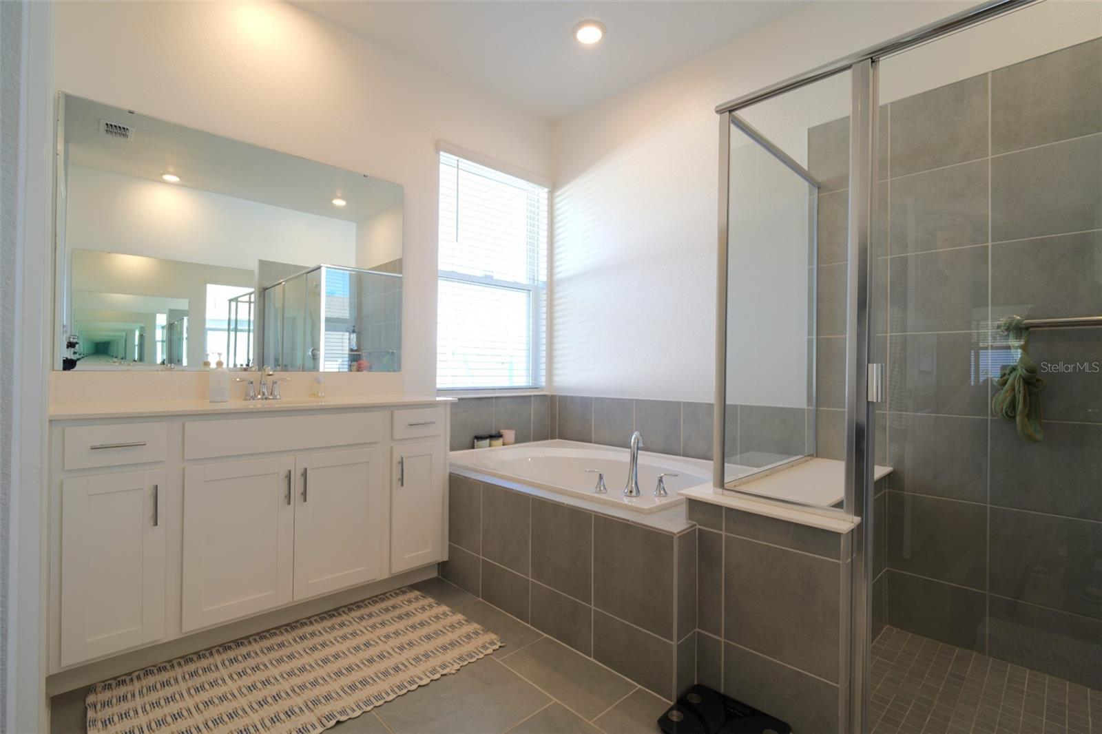 6084 CLAYSTONE WAY, MOUNT DORA, FL, 32757