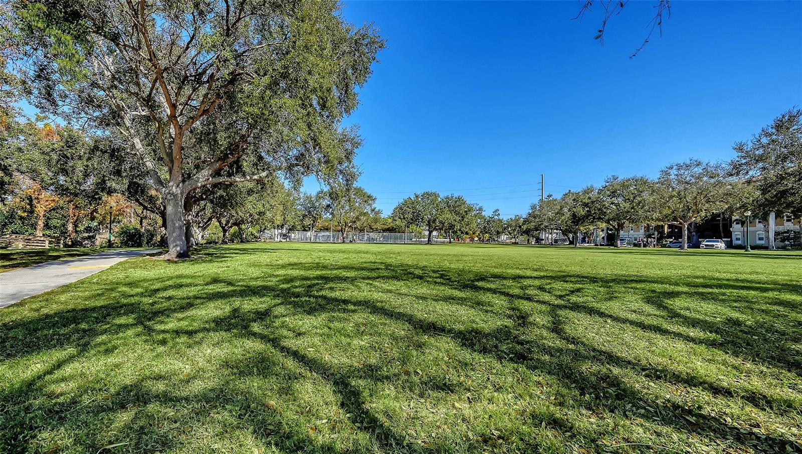 1268 11TH ST #2404, SARASOTA, FL, 34236