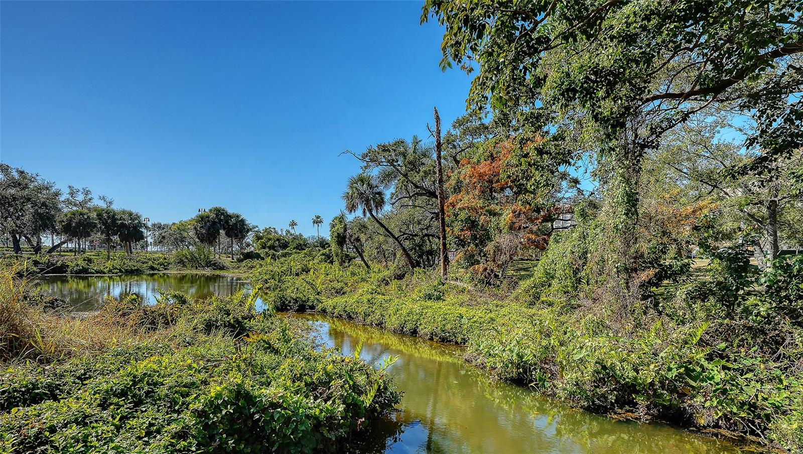 1268 11TH ST #2404, SARASOTA, FL, 34236