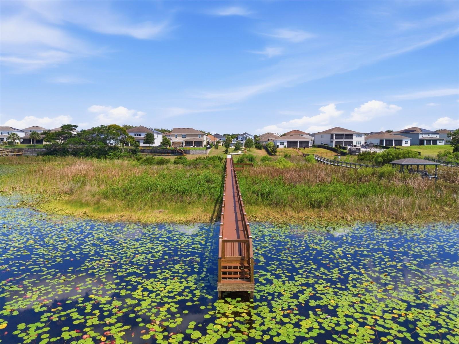 3362 HANGING TIDE ST, WINTER GARDEN, FL, 34787