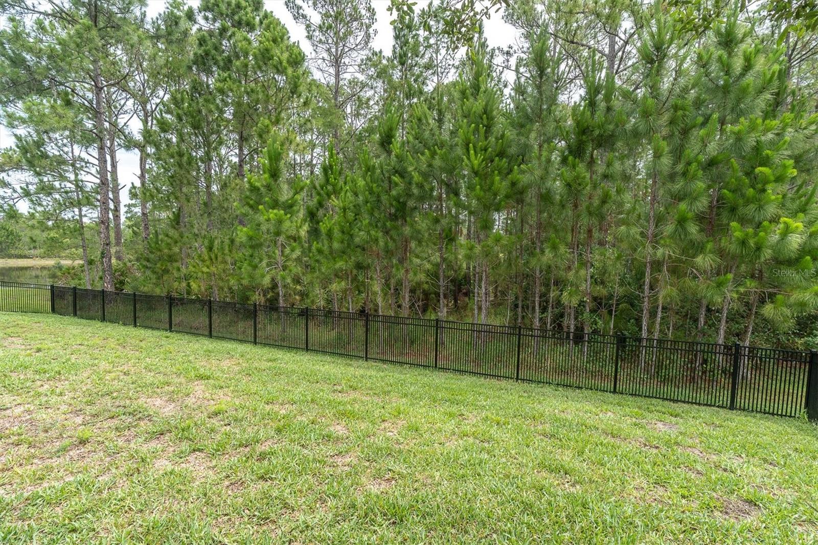 4304 BARBOUR TRL, ODESSA, FL, 33556
