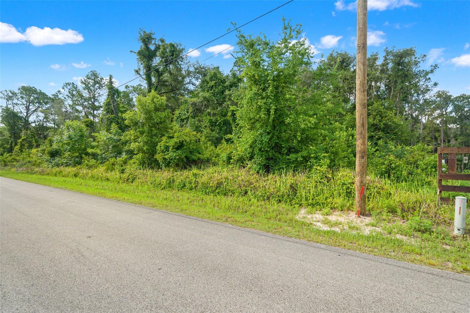 N CANAL ST, WEBSTER, FL, 33597