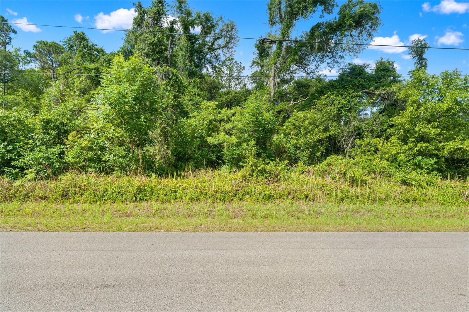 N CANAL ST, WEBSTER, FL, 33597