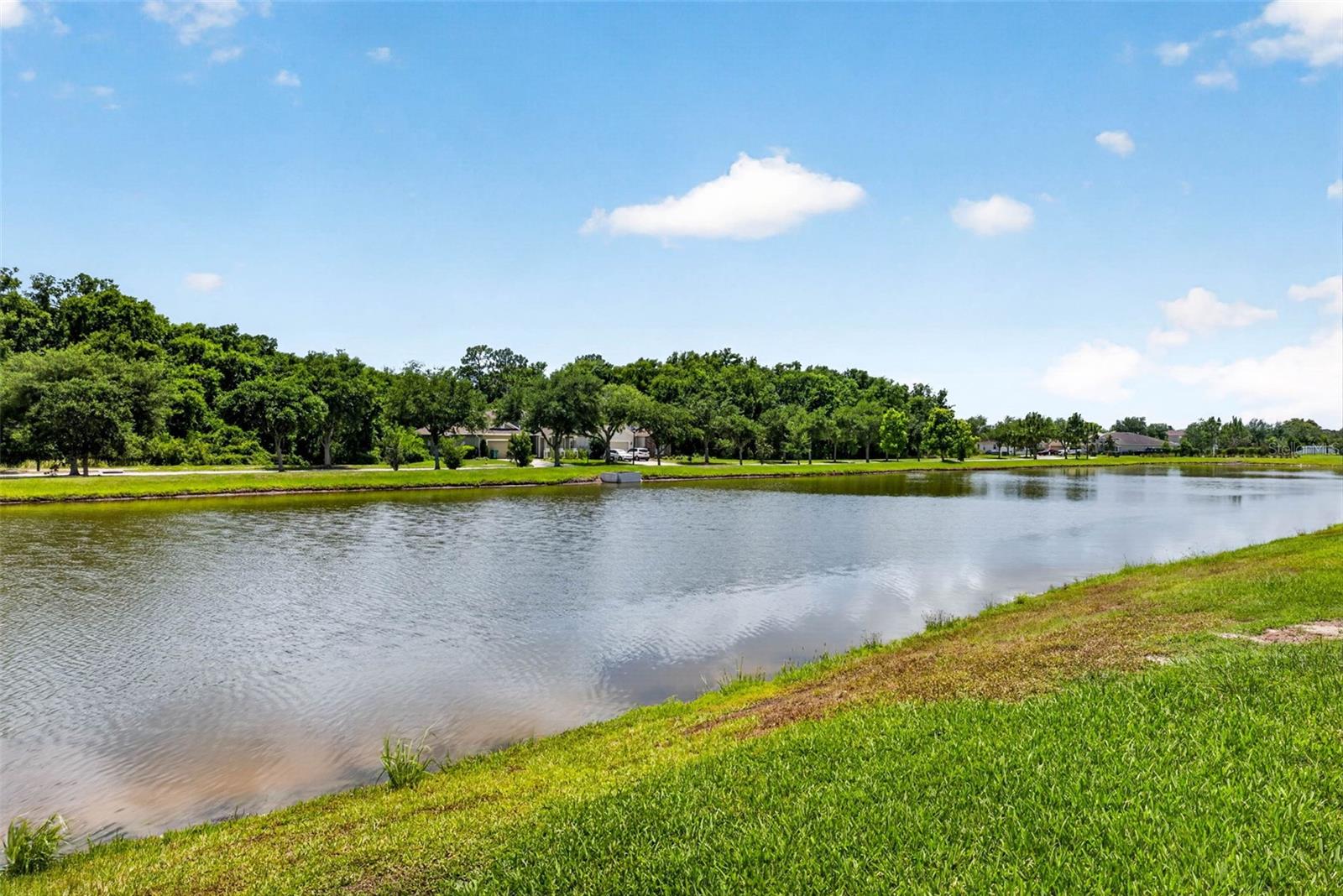 6946 TALAMORE DR, WESLEY CHAPEL, FL, 33545