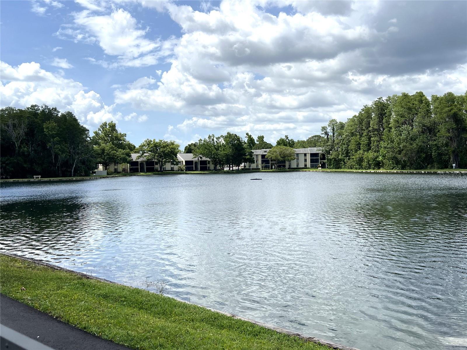 1433 PINE GLEN PL #G2, TARPON SPRINGS, FL, 34688