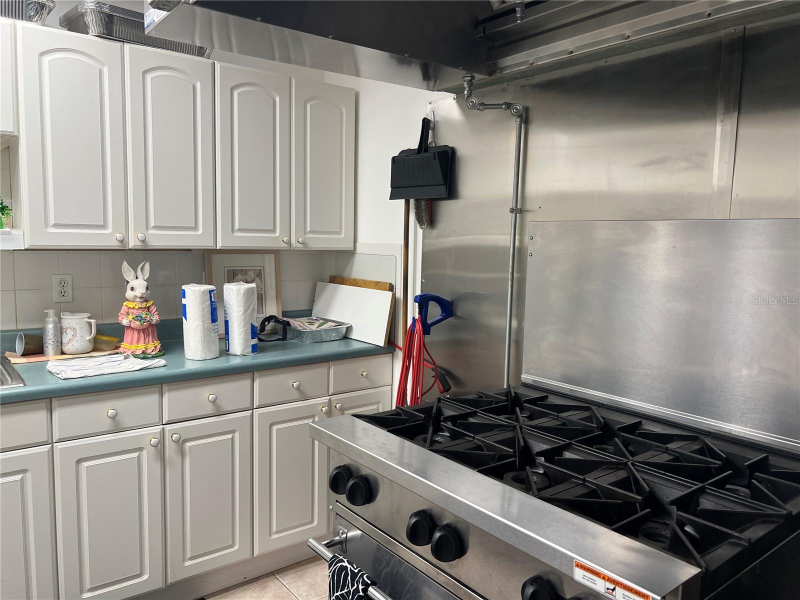 1433 PINE GLEN PL #G2, TARPON SPRINGS, FL, 34688