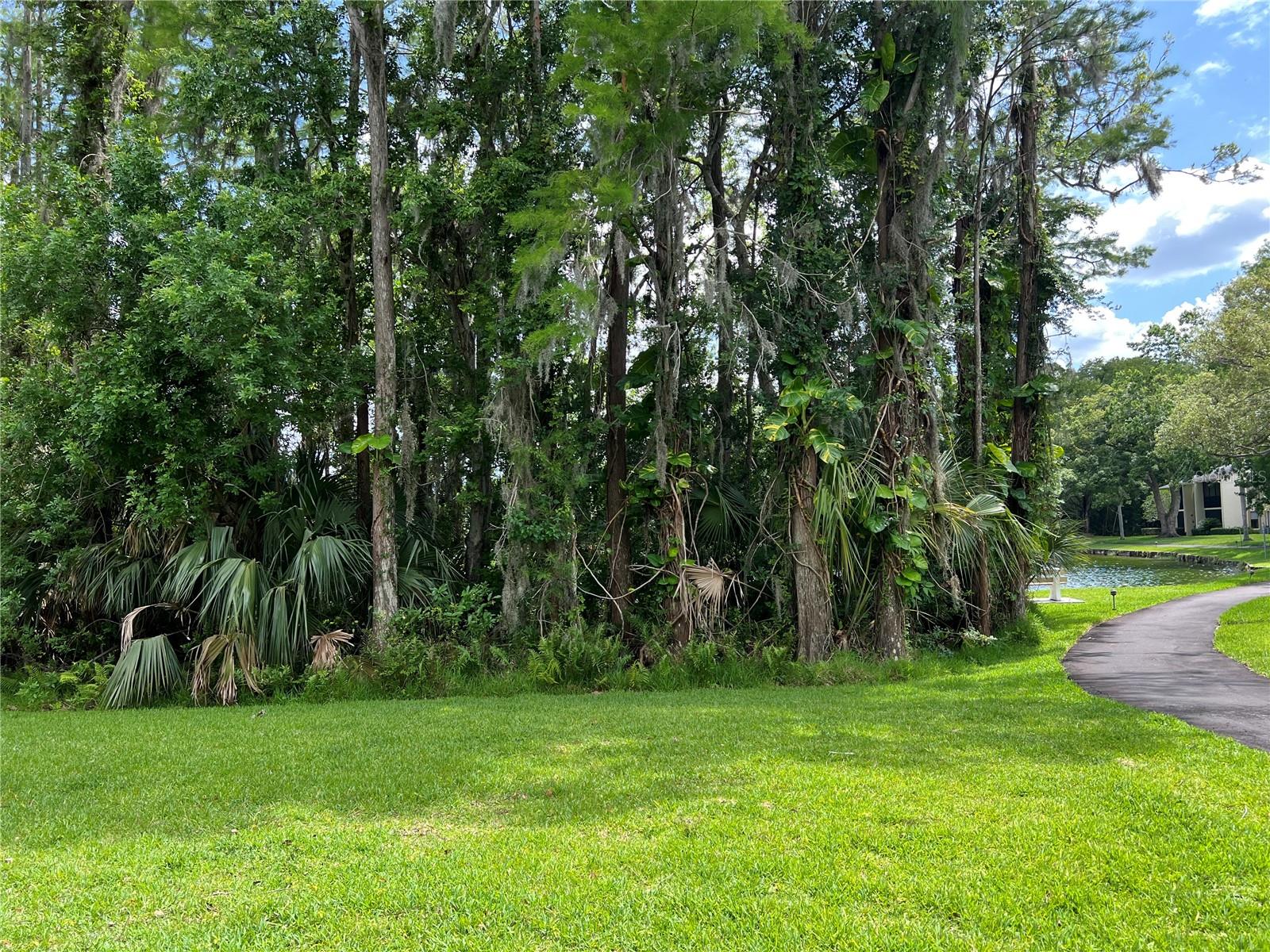 1433 PINE GLEN PL #G2, TARPON SPRINGS, FL, 34688