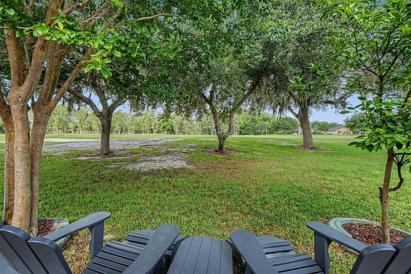 1331 TRIMARAN PL, TRINITY, FL, 34655