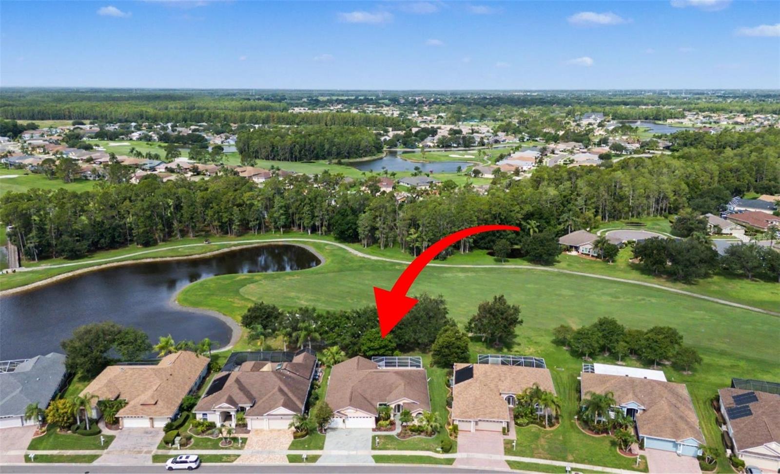 1331 TRIMARAN PL, TRINITY, FL, 34655