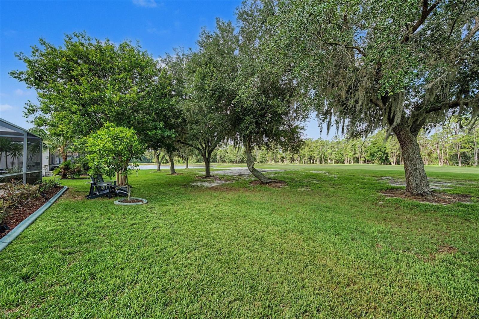 1331 TRIMARAN PL, TRINITY, FL, 34655