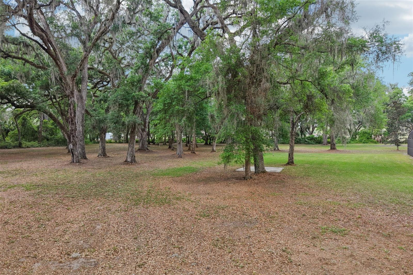 2685 CR 564, BUSHNELL, FL, 33513