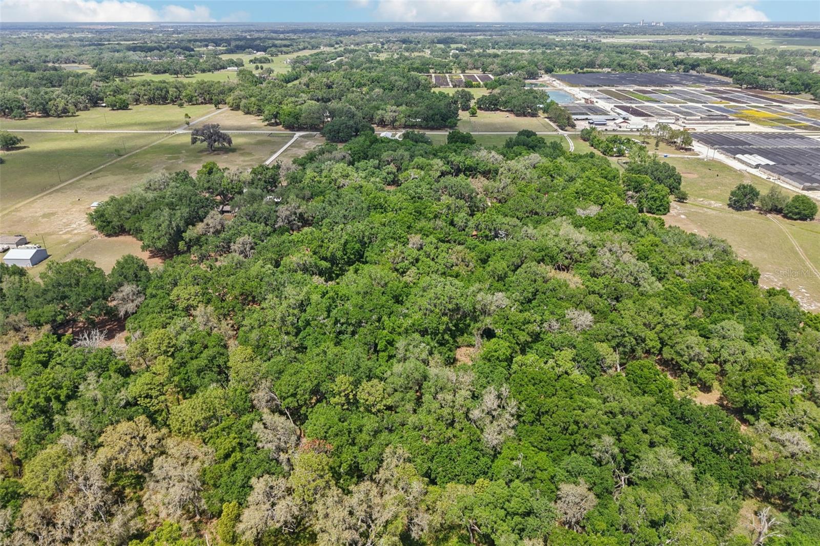 2685 CR 564, BUSHNELL, FL, 33513
