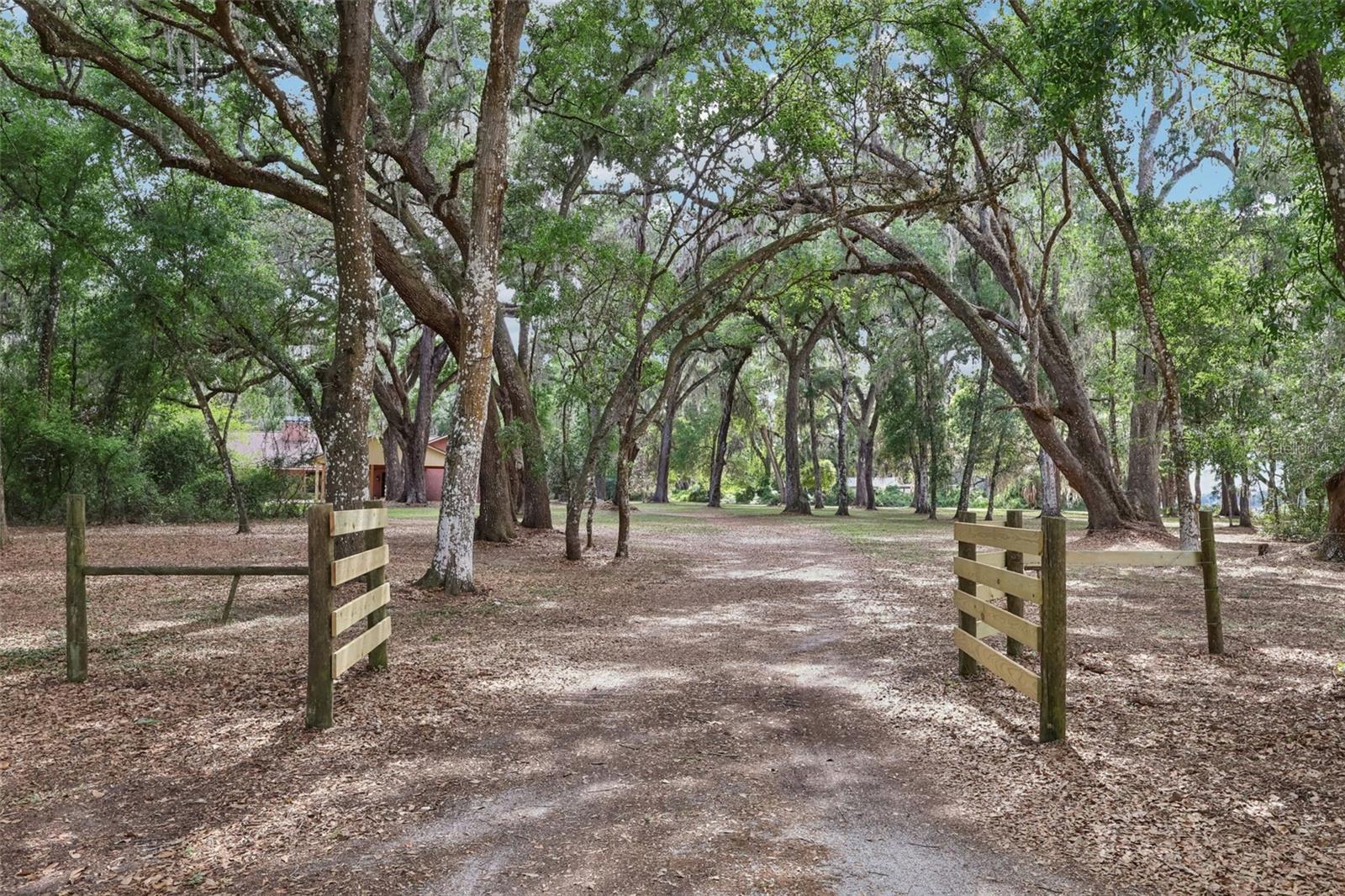 2685 CR 564, BUSHNELL, FL, 33513