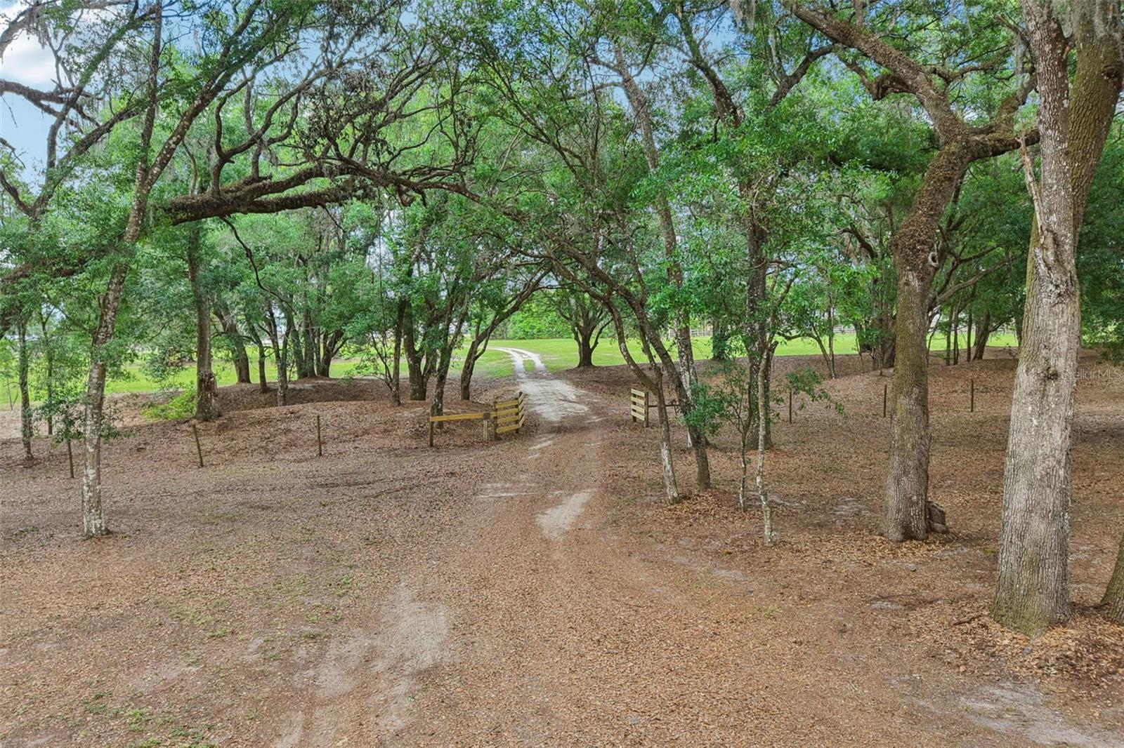 2685 CR 564, BUSHNELL, FL, 33513